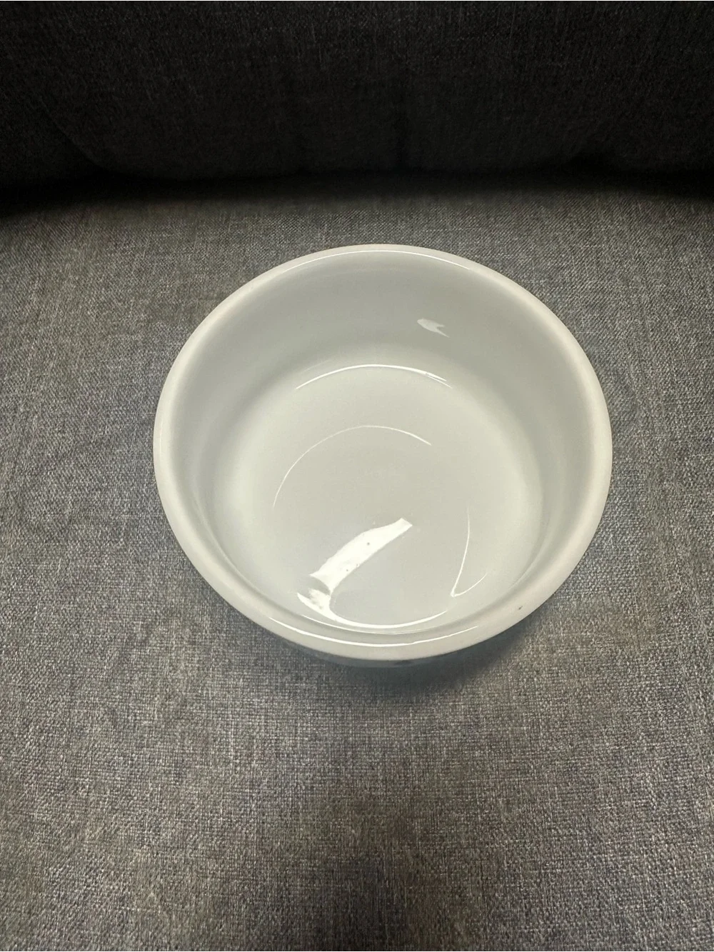 Vintage Ceramic H2O Dog Water Bowl